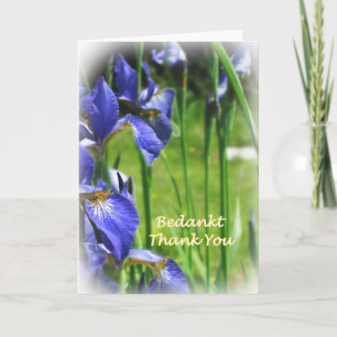 Thank You in Dutch and English Card