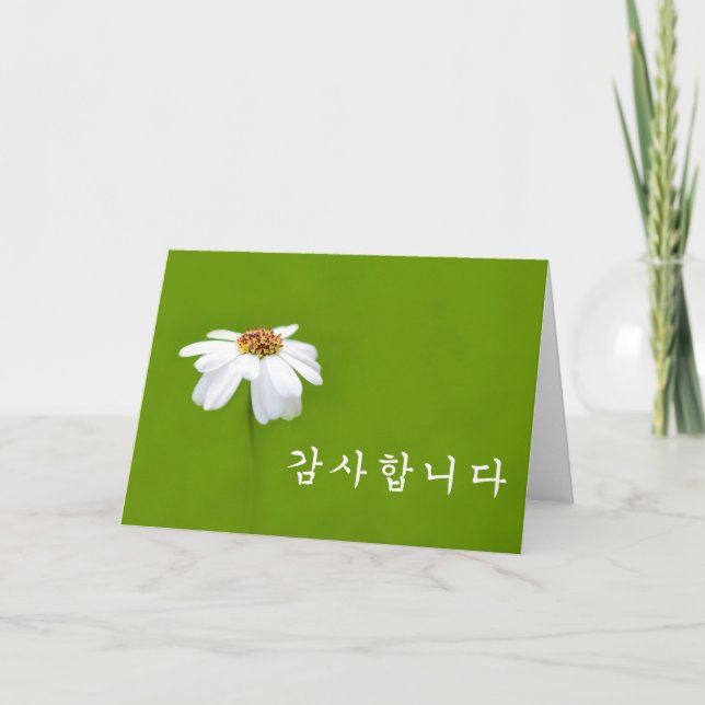 Thank you in Korean - white daisy Card (Front)