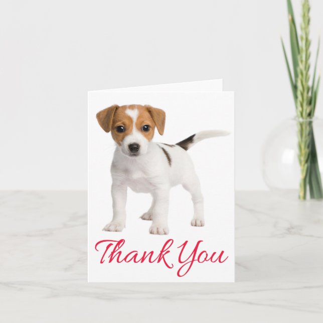 Thank You Jack Russell Terrier Puppy Dog Blank (Front)