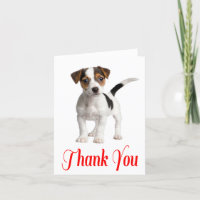 Thank You Jack Russell Terrier Puppy Dog Note Card