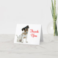 Thank You Jack Russell Terrier Puppy Dog Note Card
