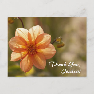 Thank You, Jessica! Postcard