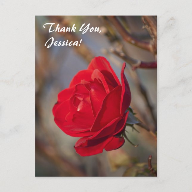 Thank You, Jessica! Postcard (Front)