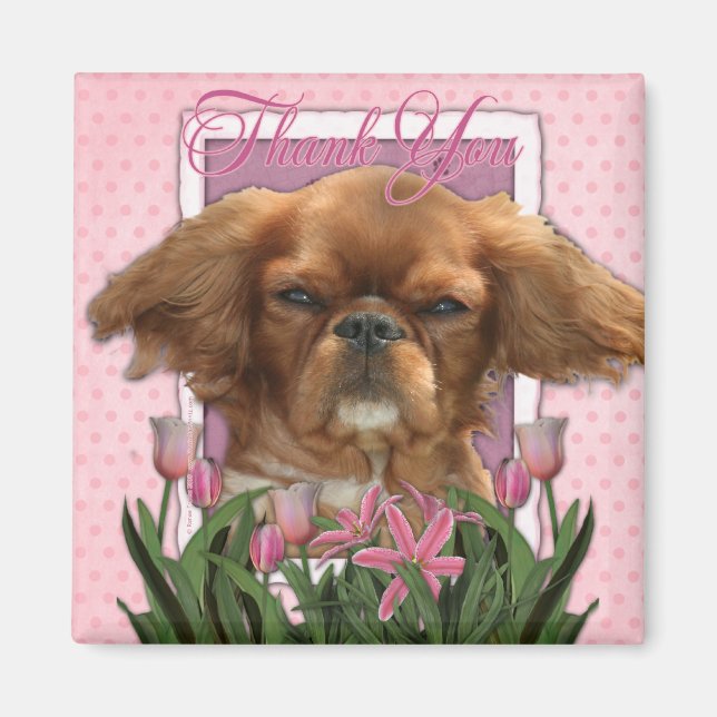 Thank You - King Charles Cavalier - Ruby Magnet (Front)