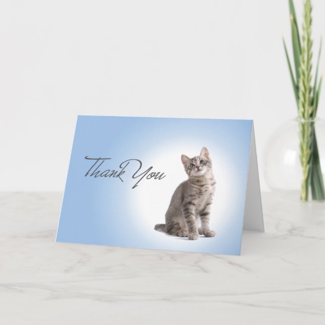 Thank You Kitten on Blue (Front)