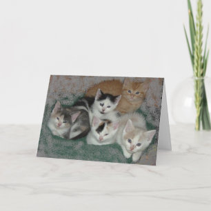 Thank You/Kittens You Card