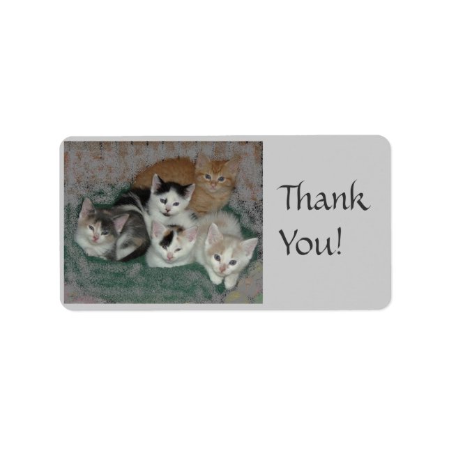 Thank You!/Kitties Label (Front)