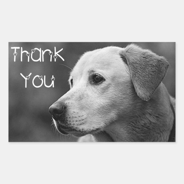 Thank You  Labrador Retriever Puppy Dog Sticker (Front)