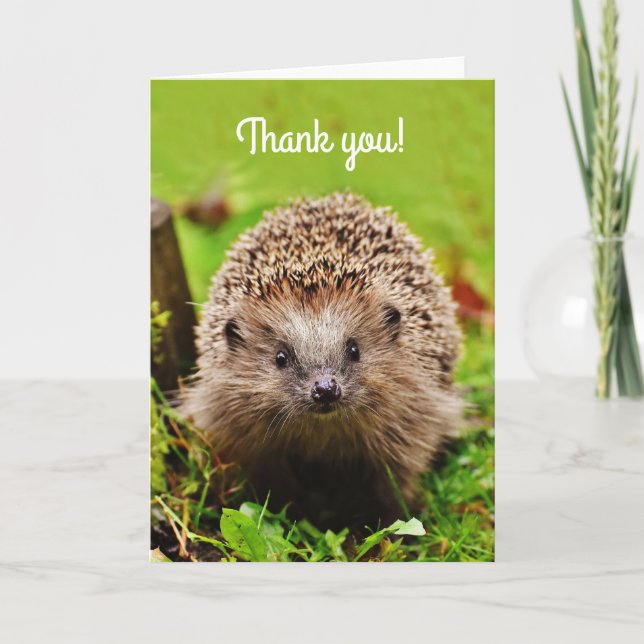 "Thank you!" Little Hedgehog in the Forest Thank You Card (Front)