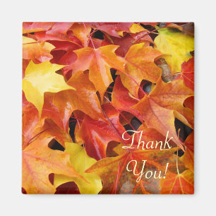 Thank You! magnet Fall Tree Leaves Autumn