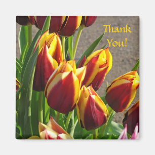 Thank You! magnet Red Yellow Tulip Garden Flowers