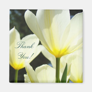 Thank You! magnet Yellow White Tulip Flowers Boss