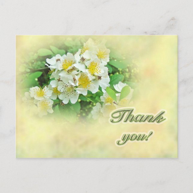 Thank You Multiflora Roses Postcard (Front)