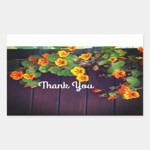 Thank You Nasturtium Stickers