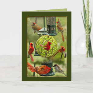 Thank You, Northern Male & Female Red Cardinals Card