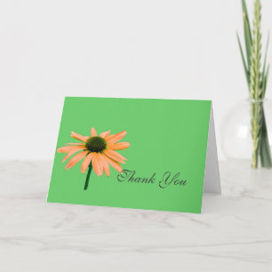 thank you note,daisy flowers card