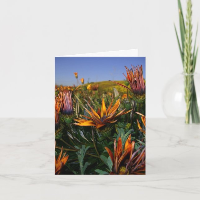 Thank you note: Field of Flowers (Front)