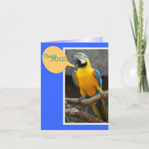 Thank You Note from Parrot Card