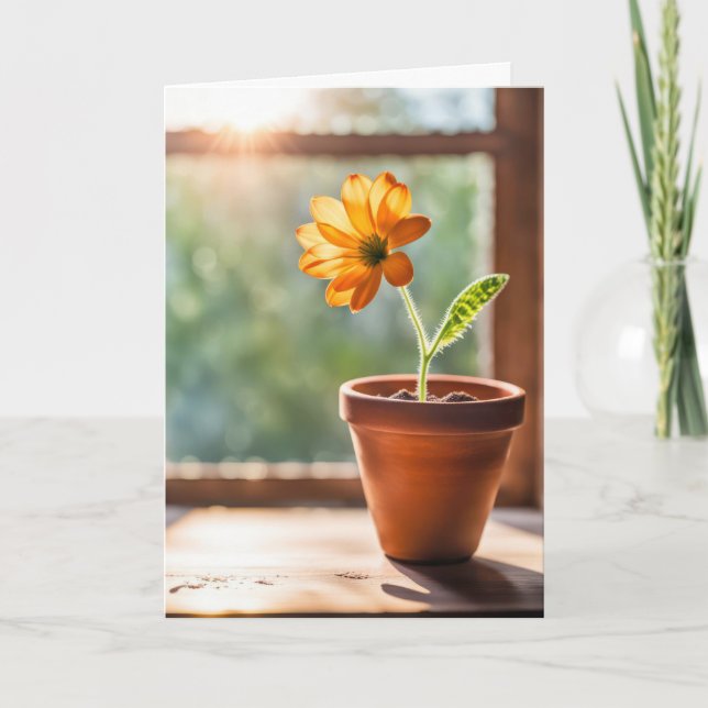 Thank You Orange Daisy (Front)