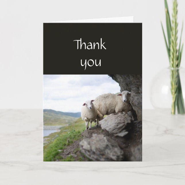 Thank you Pastor Shepherd Lost Flock Sheep (Front)