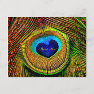 Thank You Peacock Feathers Eye of Love Postcard