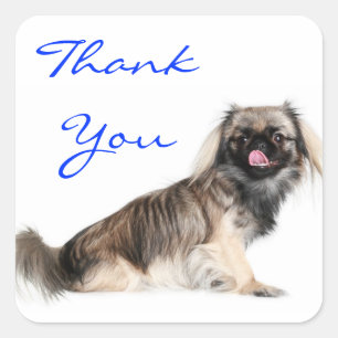 Thank You Pekingese Puppy Dog Greeting Sticker