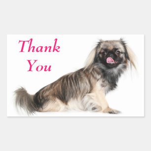 Thank You Pekingese Puppy Dog Greeting Sticker