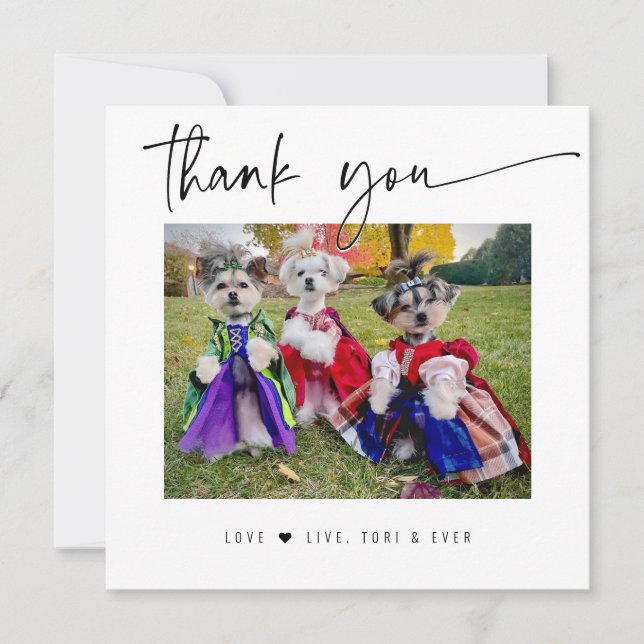 THANK YOU PET PHOTO modern simple script Card (Front)