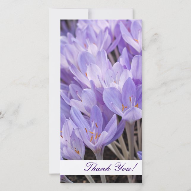 Thank You Photo Card (Front)