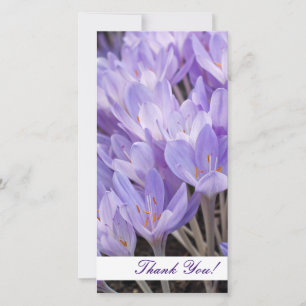 Thank You Photo Card