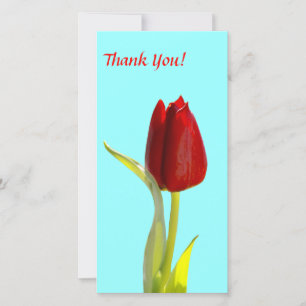 Thank You Photo Card