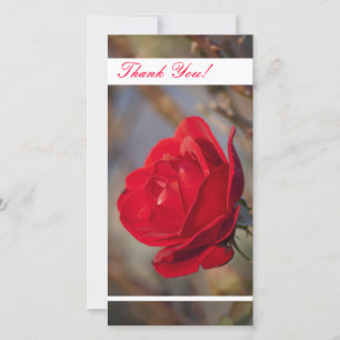 Thank You Photo Card