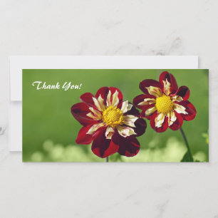 Thank You Photo Card