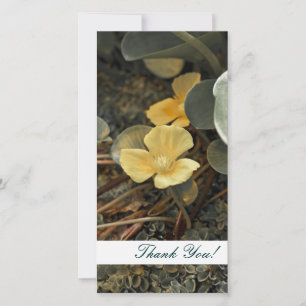 Thank You Photo Card