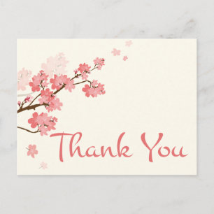Thank You Pink Cherry Blossom Floral Postcard