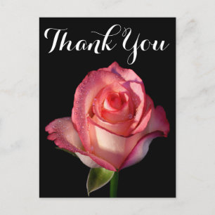 Thank You Pink Rose Flower Black Floral Postcard