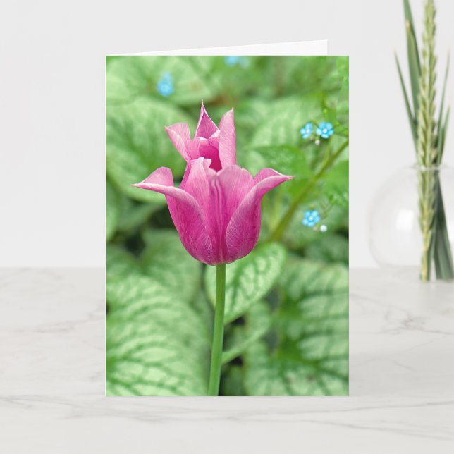 Thank You Pink Tulip Card (Front)