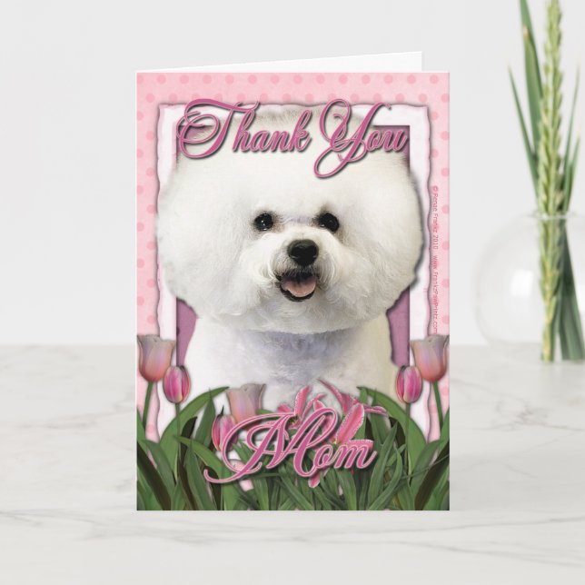 Thank You - Pink Tulips - Bichon Frise Card (Front)