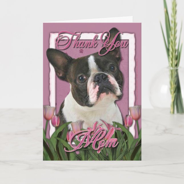Thank You - Pink Tulips - Boston Terrier (Front)