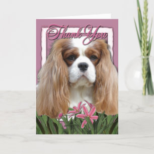 Thank You - Pink Tulips - Cavalier - Blenheim Card