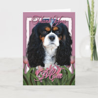 Thank You - Pink Tulips - Cavalier - Tri-Colour