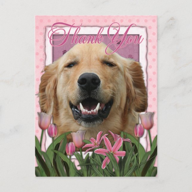 Thank You - Pink Tulips - Golden Retriever -Mickey Postcard (Front)