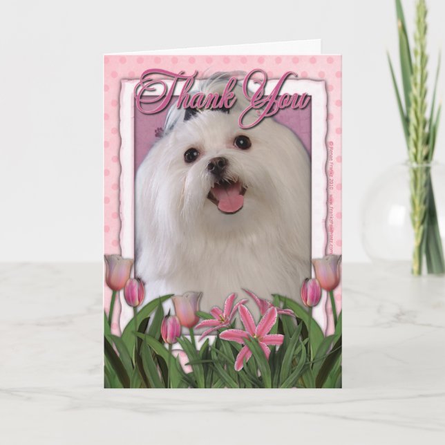 Thank You - Pink Tulips - Maltese Card (Front)