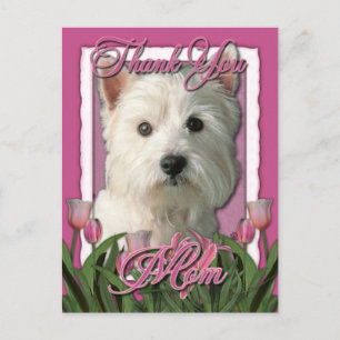 Thank You - Pink Tulips - West Highland Terrier Postcard