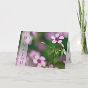 Thank You - Pink Wood Sorrel Greeting Card