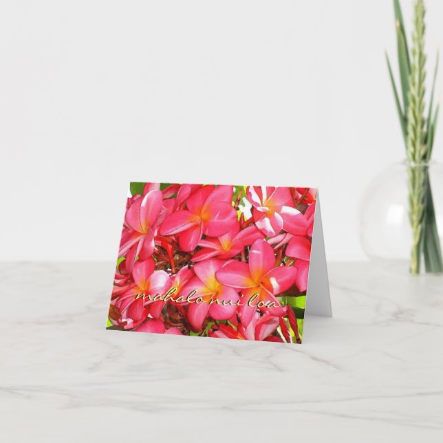 Thank You Plumeria (Front)