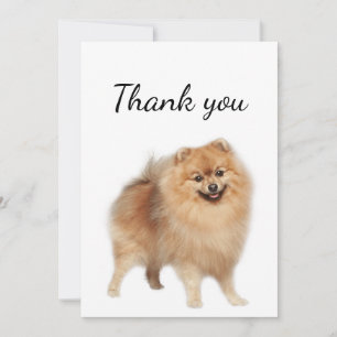 Thank You Pomeranian Dog Pet Animal Card