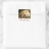 Thank You Pomeranian Puppy Dog Stickers / Labels (Bag)