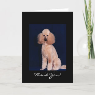 Thank You Poodle Card