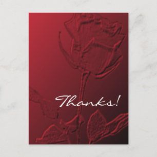 Thank You Post Cards Red Rose
